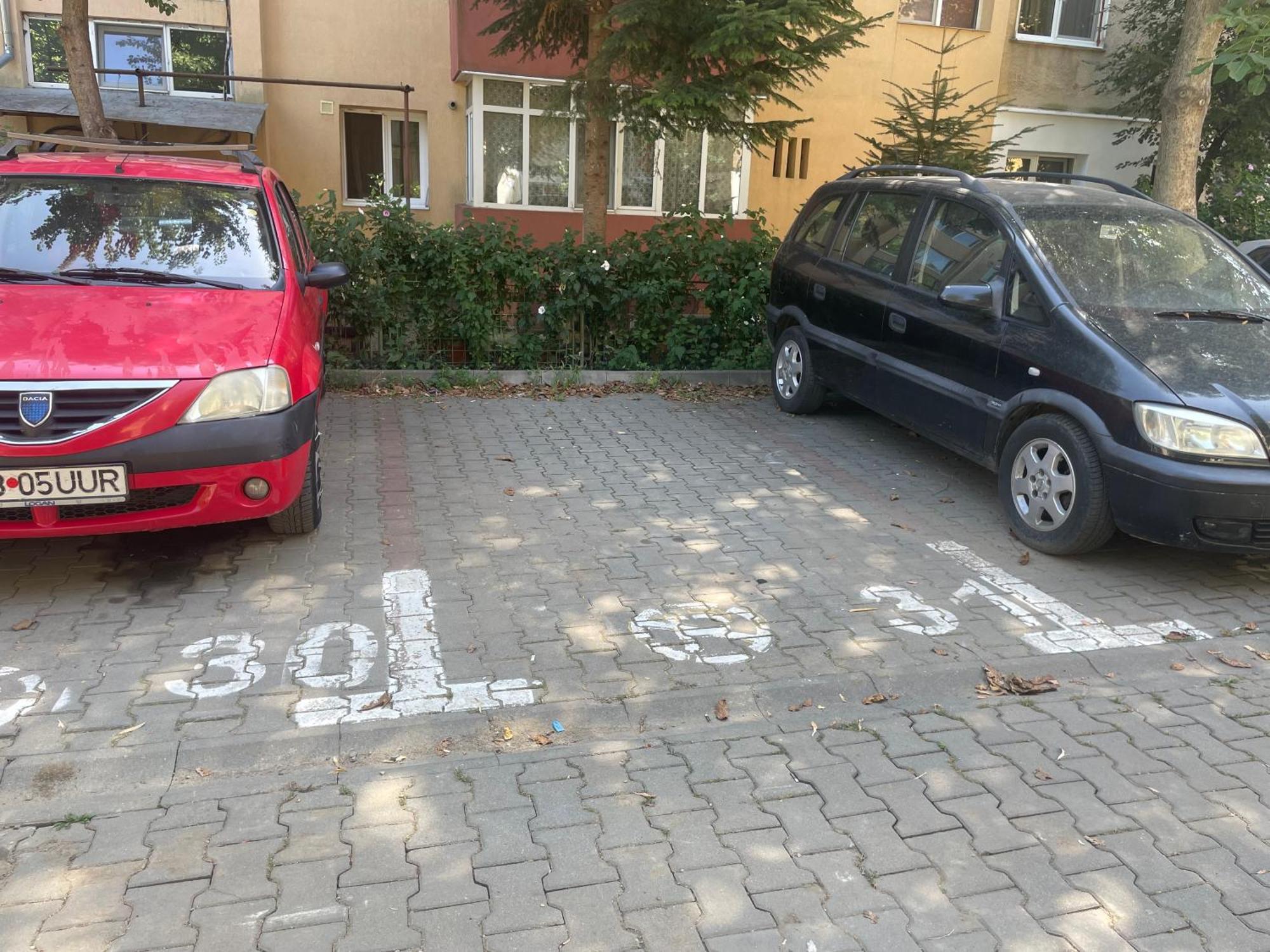 Kitty Sunflower Apartment Alba Iulia Eksteriør billede